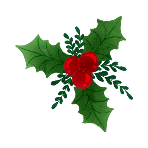 Holly Plant